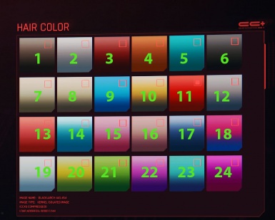 赛博朋克2077发型颜色修改工具 v1.0