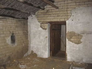 《文字玩出花》老屋修缮全攻略，轻松通关秘籍！ 4