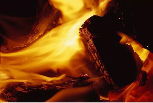 《《无限暖暖》夜晚任务大揭秘:如何在花焰群岛篝火旁拍出“长相思”美照?》 1