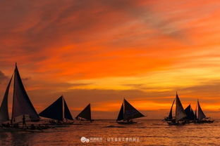 《渔帆暗涌》全小码头位置详解指南 1