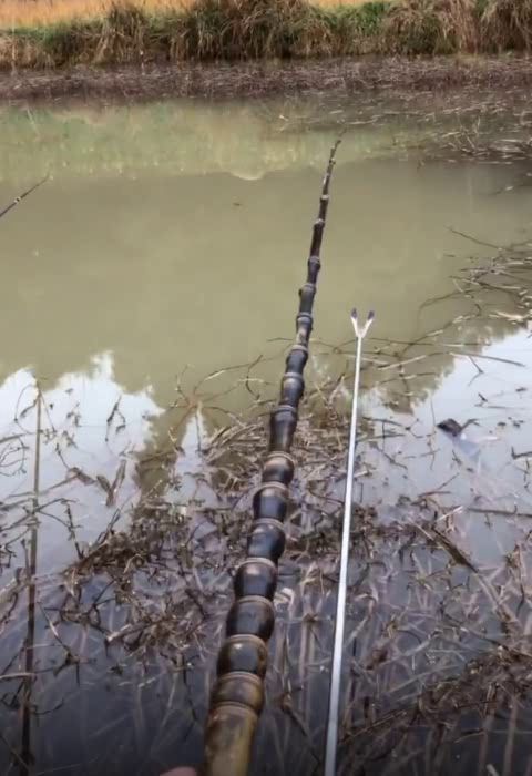 《橡子屋》秘籍：解锁神秘树枝钓鱼竿的绝妙方法 3