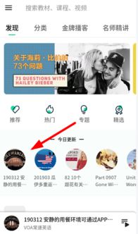 《轻听英语》APP自动复制至剪贴板设置指南 3