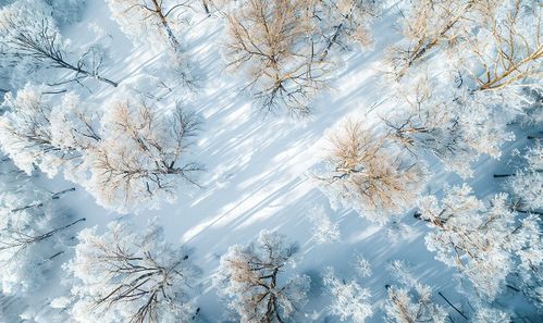 《《暖雪》里不得不知的三元是什么?快来一探究竟!》 1