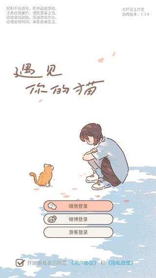 《《遇见你的猫》第二章:全面解析,助你轻松通关秘籍》 2