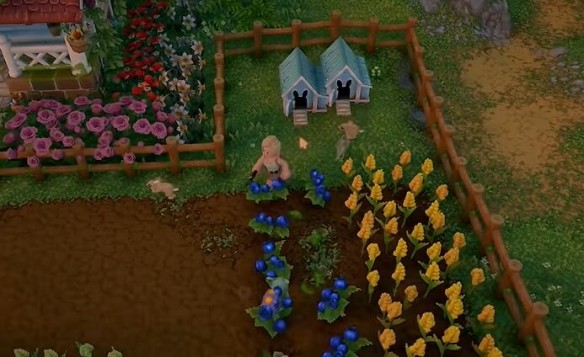 露玛岛手游安卓版 1