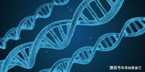 《女神星球》游戏中如何分解基因的方法分享? 1