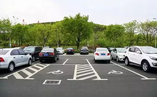 《北京交通》轻松解锁停车照片查看秘籍 3