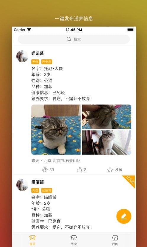 真命天喵 截图3