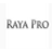 raya pro(ps扩展面板插件) v5.0
