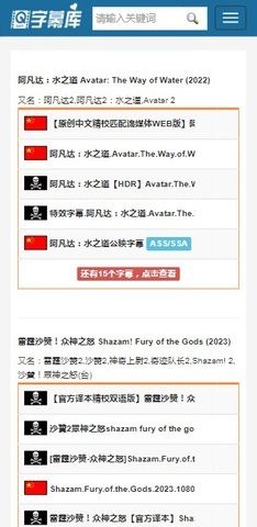 字幕库2025最新版 1