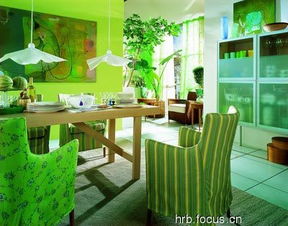 如何在《帕帕的商业街》中高效布置餐厅就餐区新家具?任务攻略来袭! 2