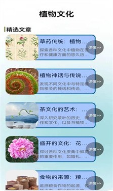 植物小伙伴 1