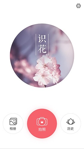 识花 1