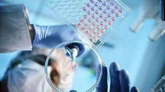 《星球重启》甸城:高效获取几丁质感染组织攻略 1