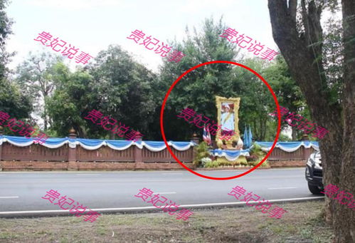 《街》牌位通常摆放在哪些位置? 3