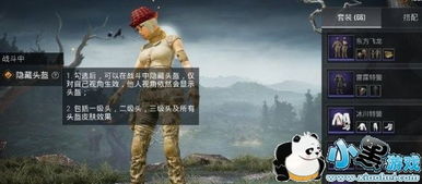 《和平精英》头盔与护甲隐匿技巧 2