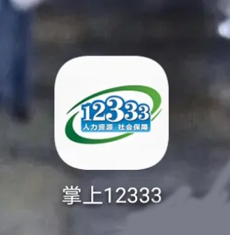 12333社保查询网 1