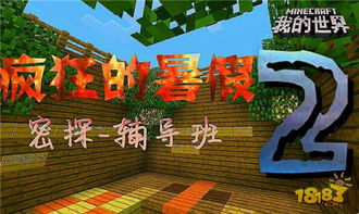 《疯狂梗传》快乐暑假2:详尽通关秘籍,助你轻松过关! 1