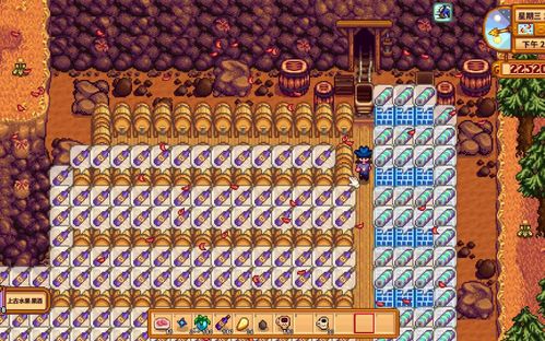 星露谷物语:轻松学会酿酒技巧 1