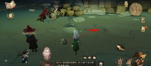 《哈利波特魔法觉醒》全植物碎片搜集指南 2