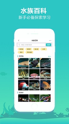 泡泡水族app安卓最新版本 截图5