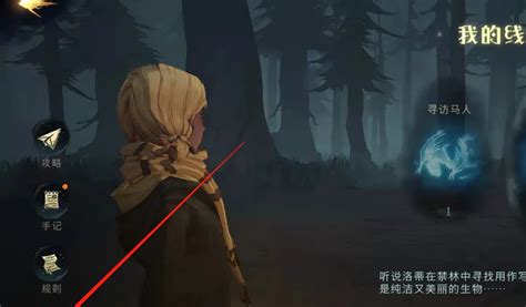 探索《哈利波特》：揭秘禁林进入次数的巧妙方法 5