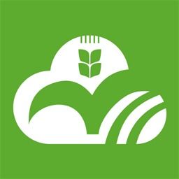 《揭秘！如何轻松获取《云上智农》中的智农豆》 3