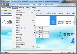 《小树浏览器调整字体大小的方法》 1