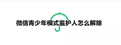 ????年模????人???解? ????年模????人解??? 1