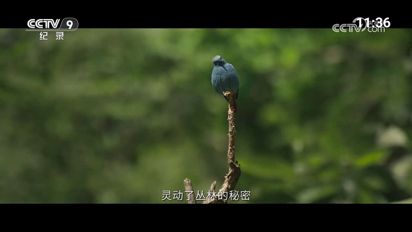 超的电视最新版本 截图2