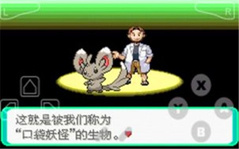 口袋妖怪漆黑的魅影最新版 1