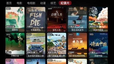 Wocflix 截图2