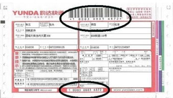 韵达快递单号怎么查询?快速获取物流信息的方法! 4