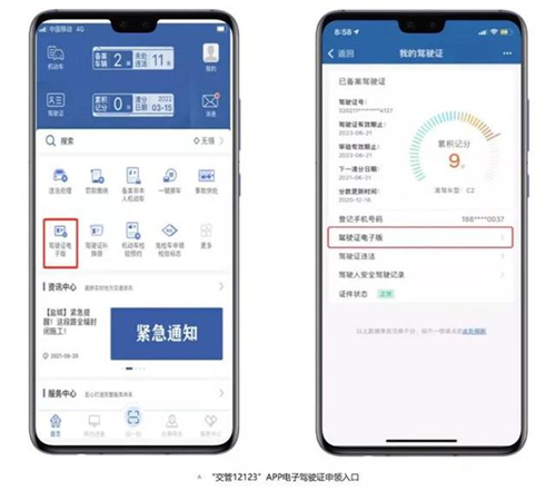 12123电子驾驶证 2