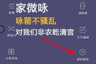 《美册》轻松添加音乐教程 1