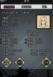 放置江湖:开局策略大揭秘,初始属性如何左右你的江湖之路 4