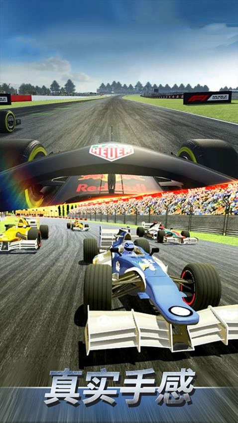 F1赛车模拟3D手游 截图5