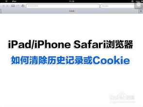 《轻松掌握!Safari浏览器历史记录一键清除技巧》 2