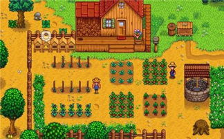 《星露谷物语》神秘齐任务怎么完成? 2