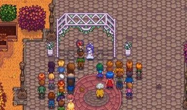 《星露谷物语》:全面解析结婚必备条件 2