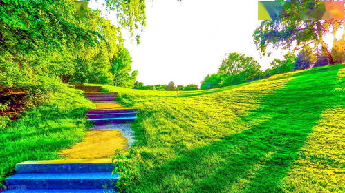 《未来人生:核心建筑概览》 1