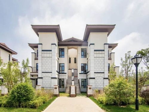 《鸭鸭收纳大师》攻略揭秘:打造梦想别墅,直通海景关卡! 1