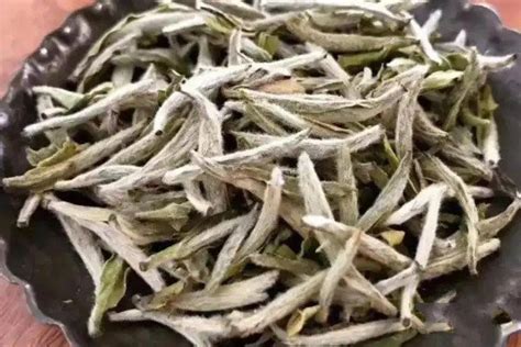 揭秘！白茶究竟属于哪类茶？ 1