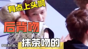 《洛克王国》苍陇甲基丸:打造顶级战力的性格选择指南 1