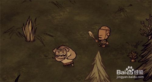 打造饥荒游戏中的高效新猪人工厂秘籍 4