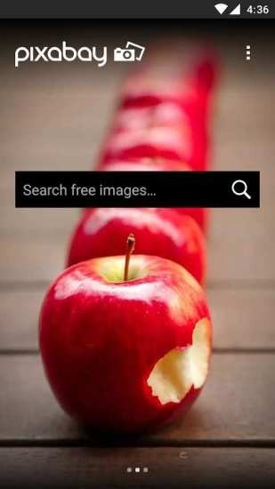 pixabay最新版2025 1