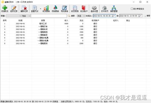 《利用《口袋记账》高效记录支出的技巧》 1