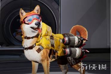 《星球重启》:萌翻宇宙的飞天小柯基宠物全揭秘 3