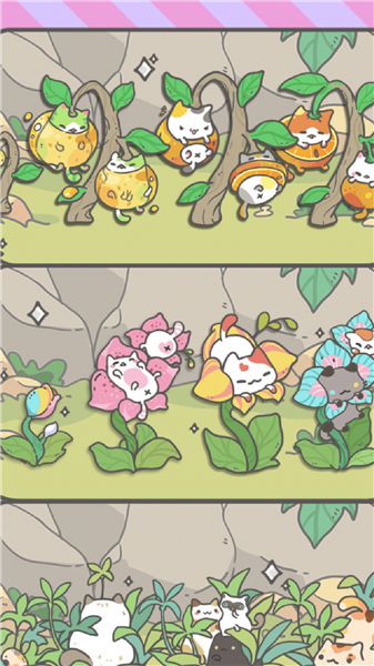 养猫达人游戏 截图2