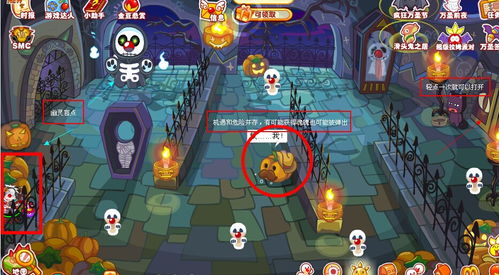 《摩尔庄园》黑猫宝箱高效解谜指南 3